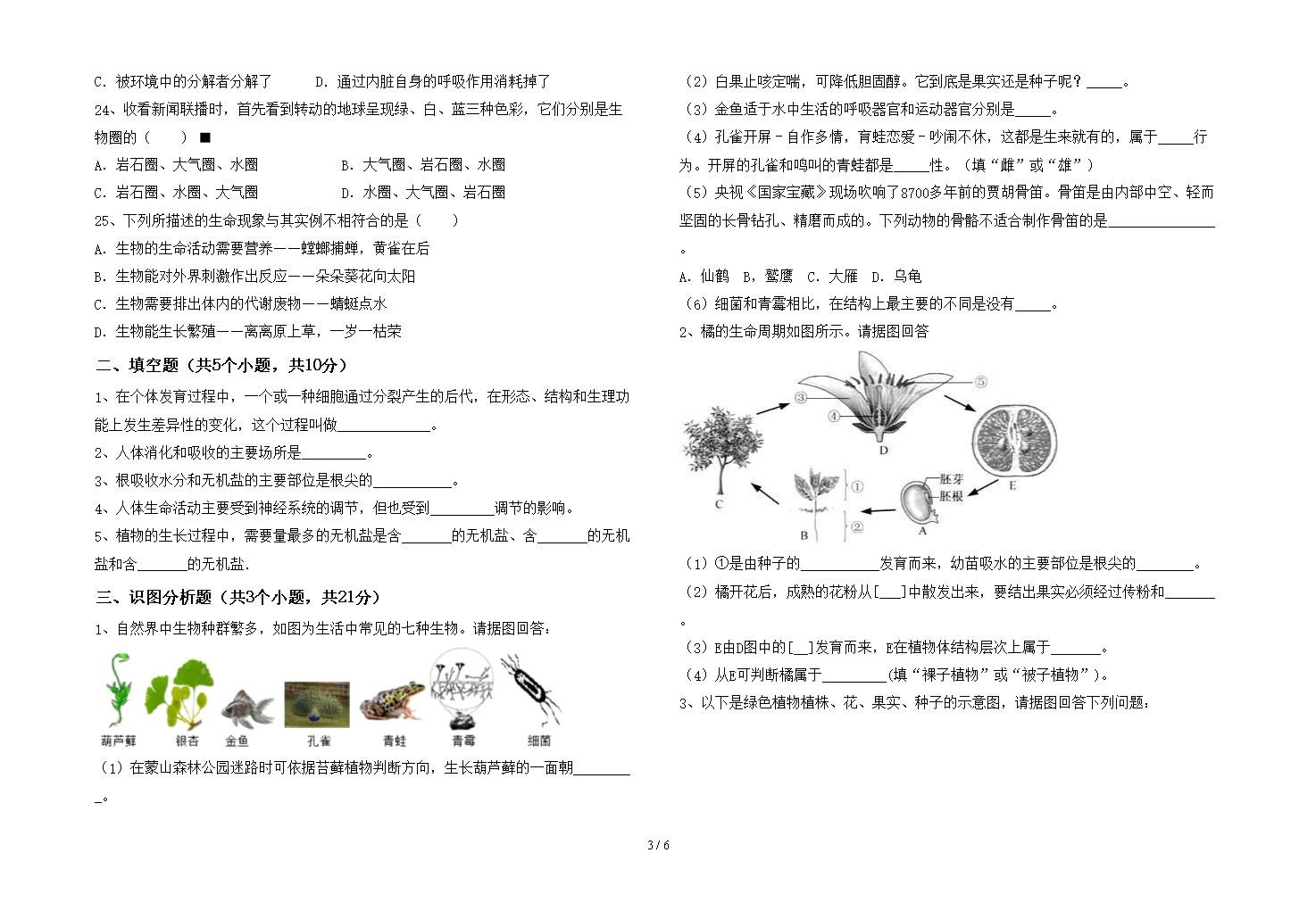 2021年冀教版七年级生物下册期中试卷【附答案】Word模板_03