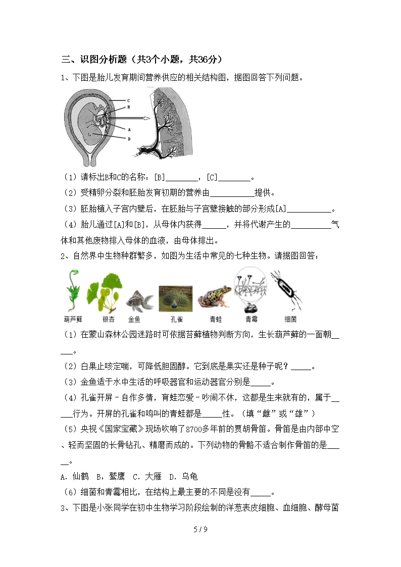 北师大版八年级下册《生物》期末考试题(完美版)Word模板_05