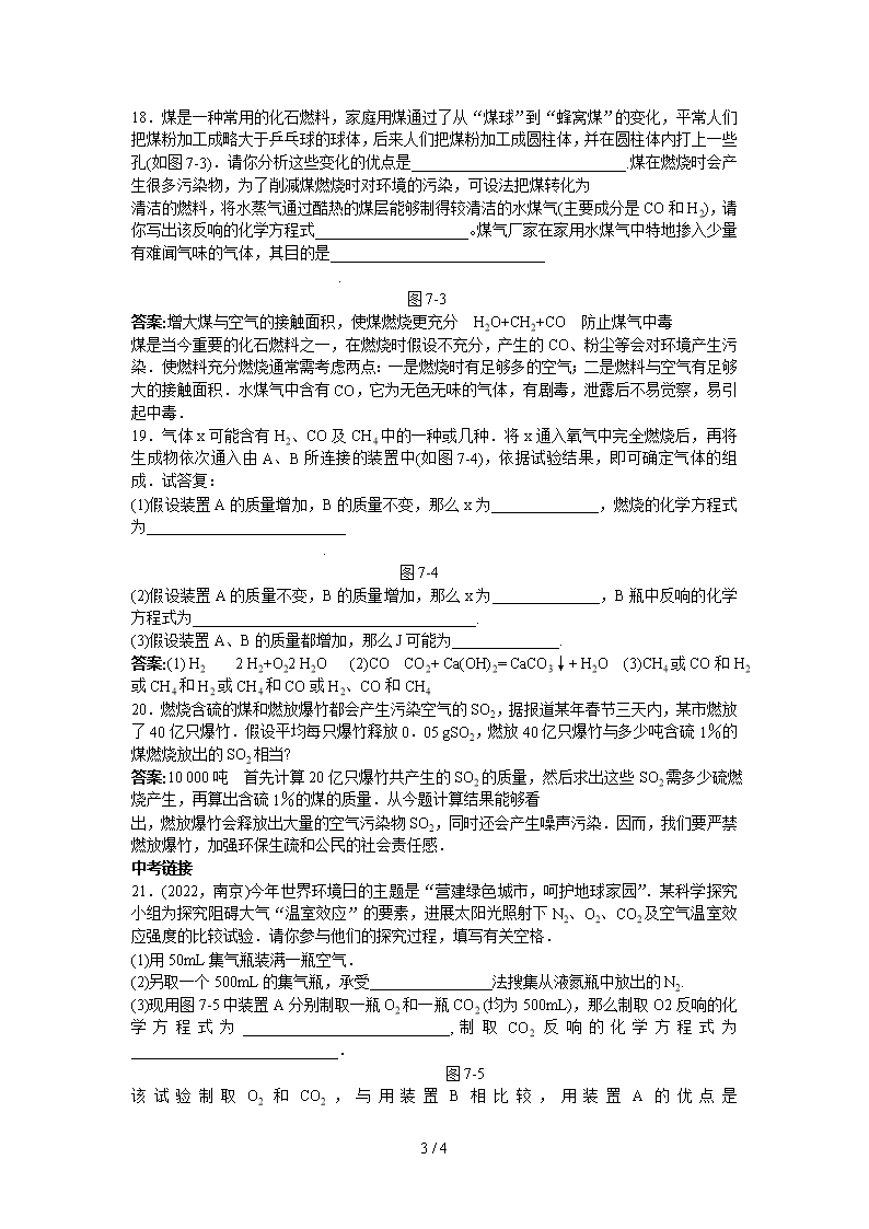 中考化学练习22-燃料和热量Word模板_03