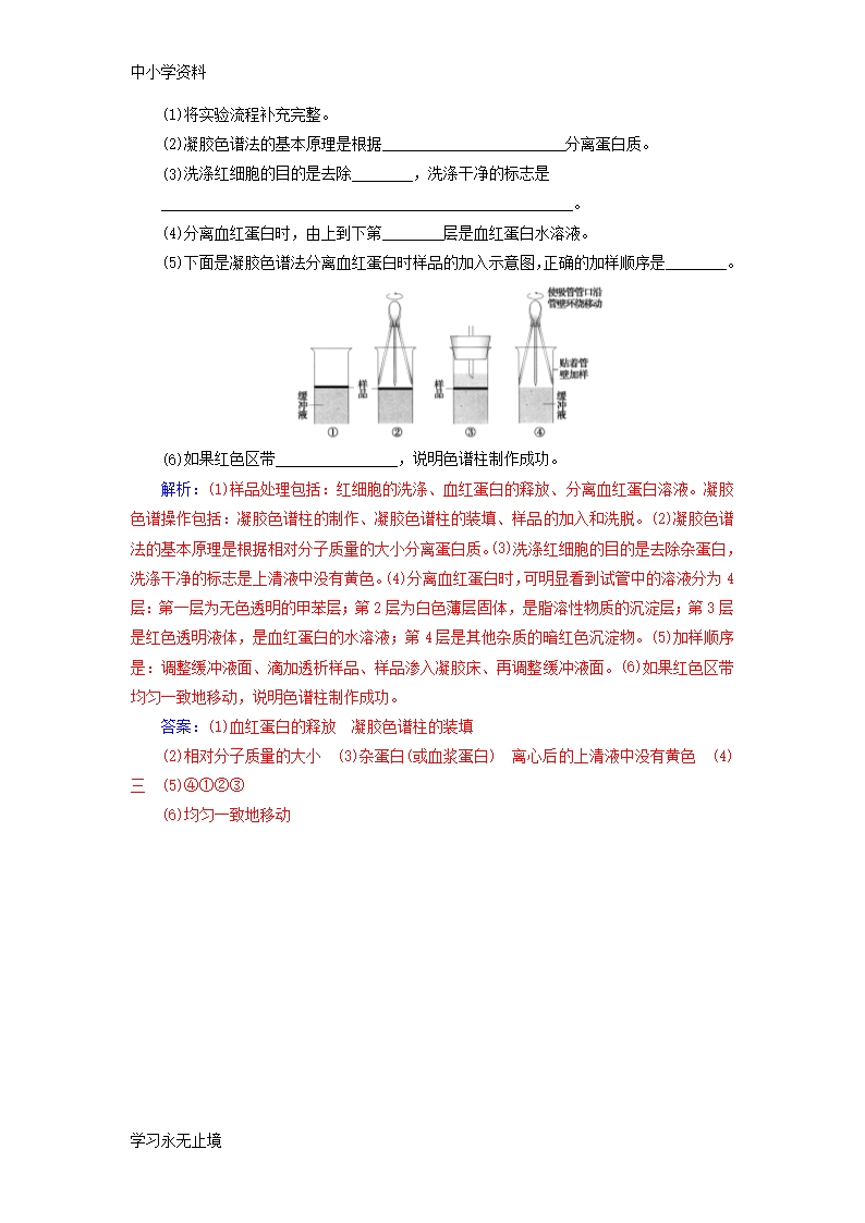 【K12教育学习资料】高中生物专题5DNA和蛋白质技术课题3血红蛋白的提取和分离练习1Word模板_07