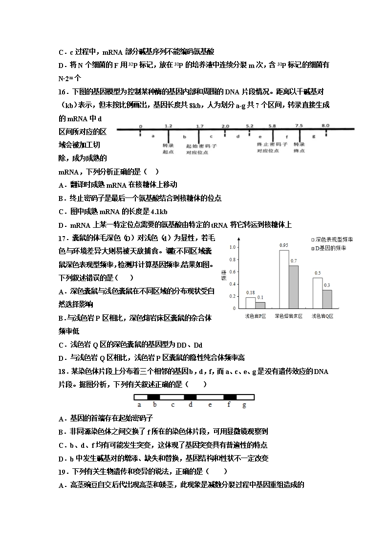 内蒙古鄂尔多斯市第一中学2021-2022学年高二上学期第一次月考生物(理)试题-Word版含答案Word模板_04