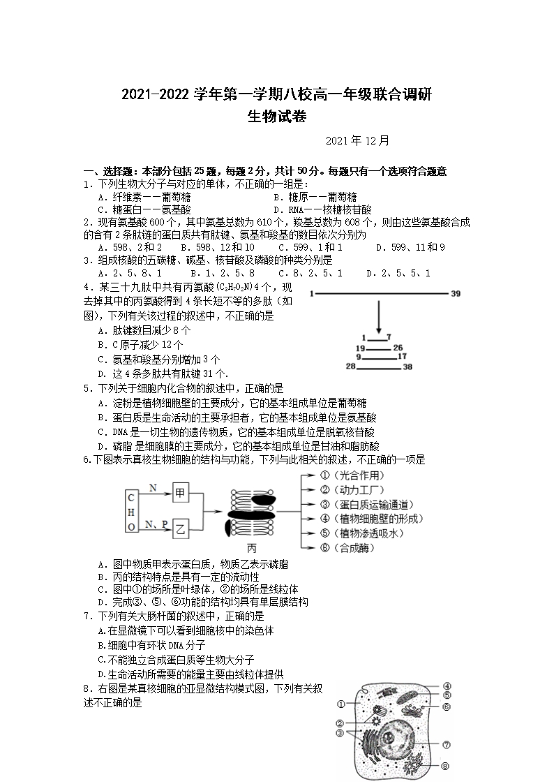 江蘇省常州市八校2021-2022學年高一上學期12月聯(lián)合調研生物試題-Word版含答案Word模板