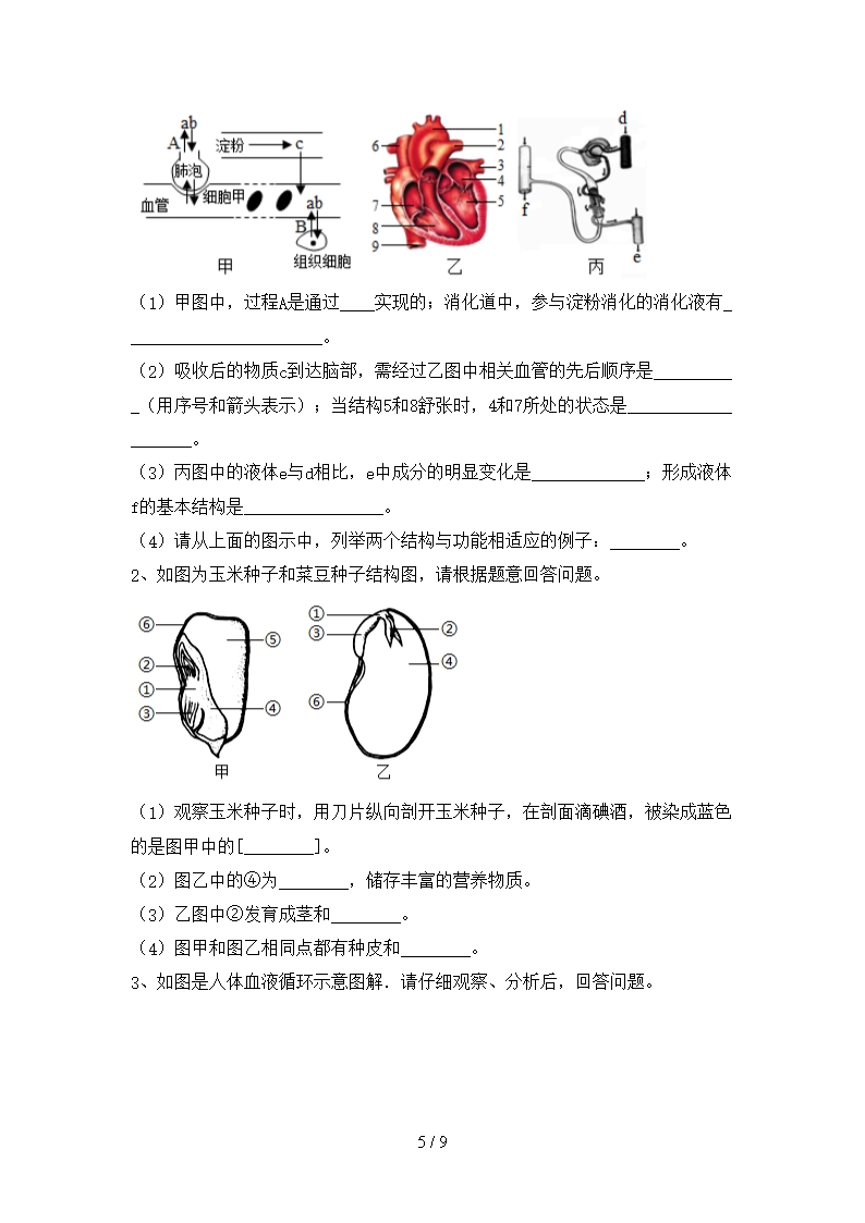 苏教版九年级《生物》下册期末测试卷及答案【完整版】Word模板_05