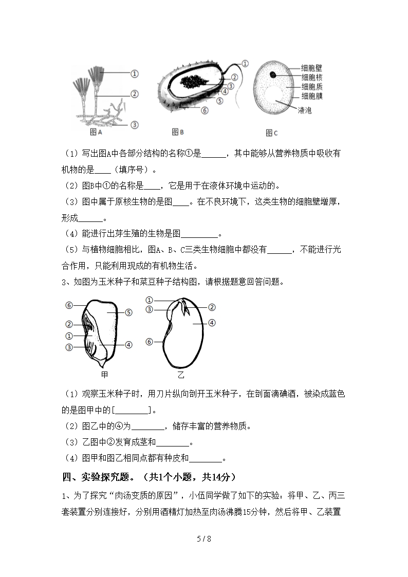 2021新人教版九年级下册《生物》期末考试卷()Word模板_05