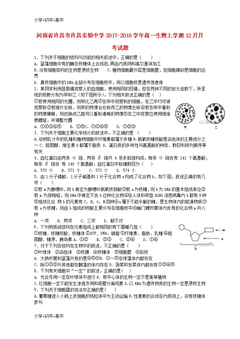 教育最新K12河南省許昌市許昌實(shí)驗(yàn)中學(xué)2017-2018學(xué)年高一生物上學(xué)期12月月考試題Word模板