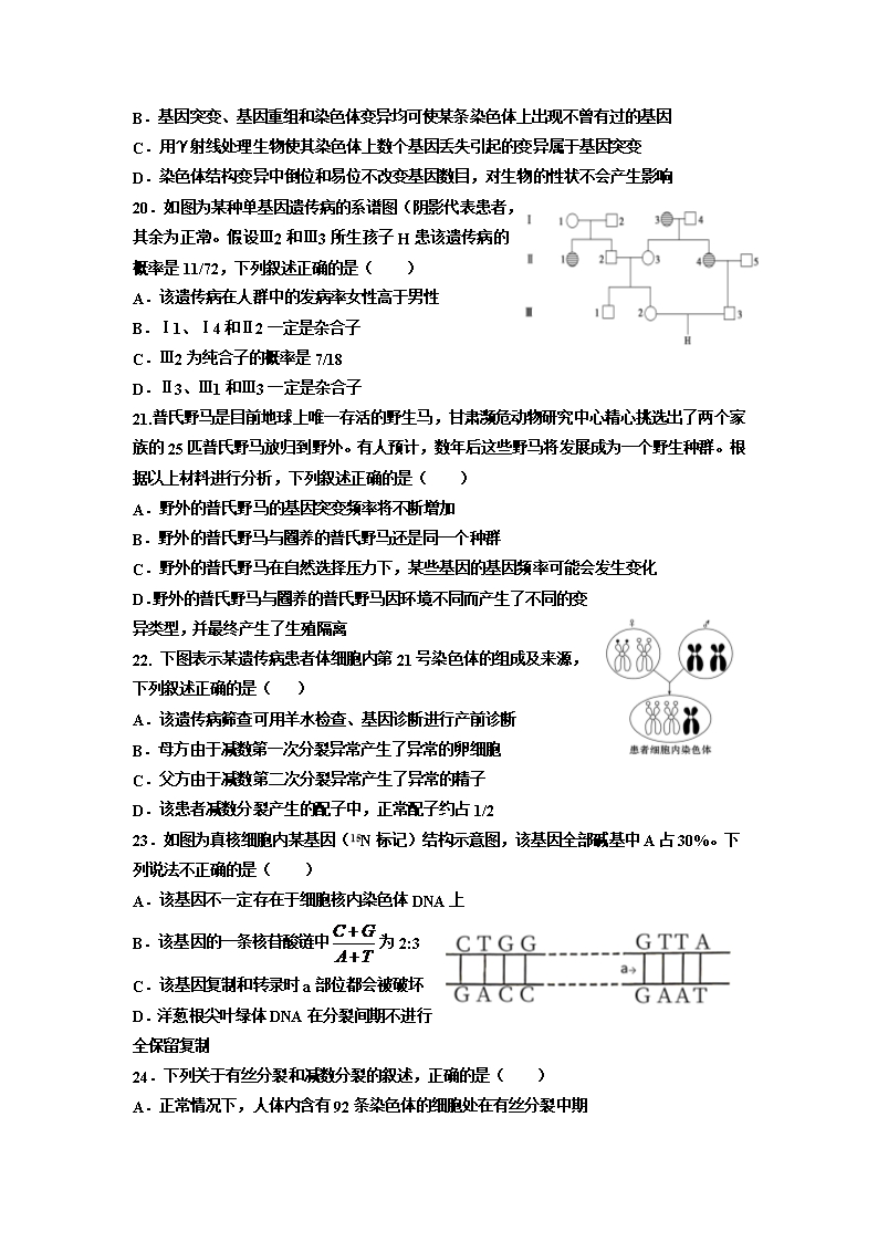 内蒙古鄂尔多斯市第一中学2021-2022学年高二上学期第一次月考生物(理)试题-Word版含答案Word模板_05