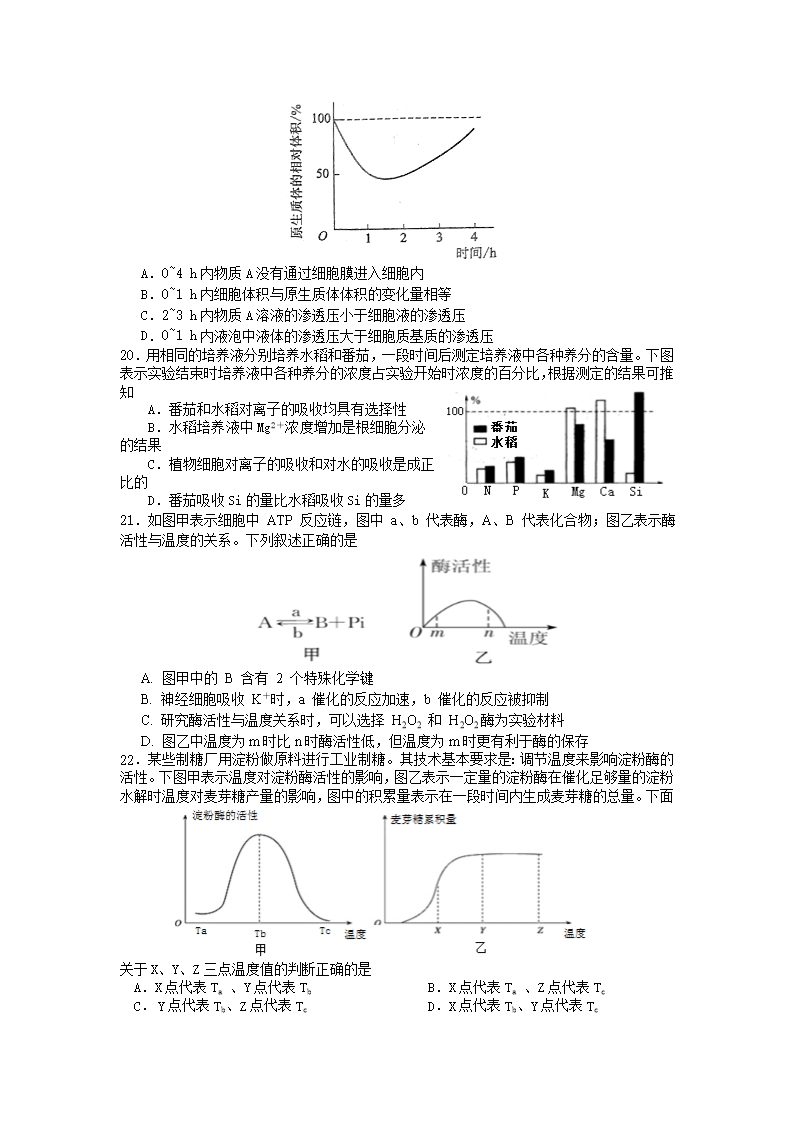 江苏省常州市八校2021-2022学年高一上学期12月联合调研生物试题-Word版含答案Word模板_04