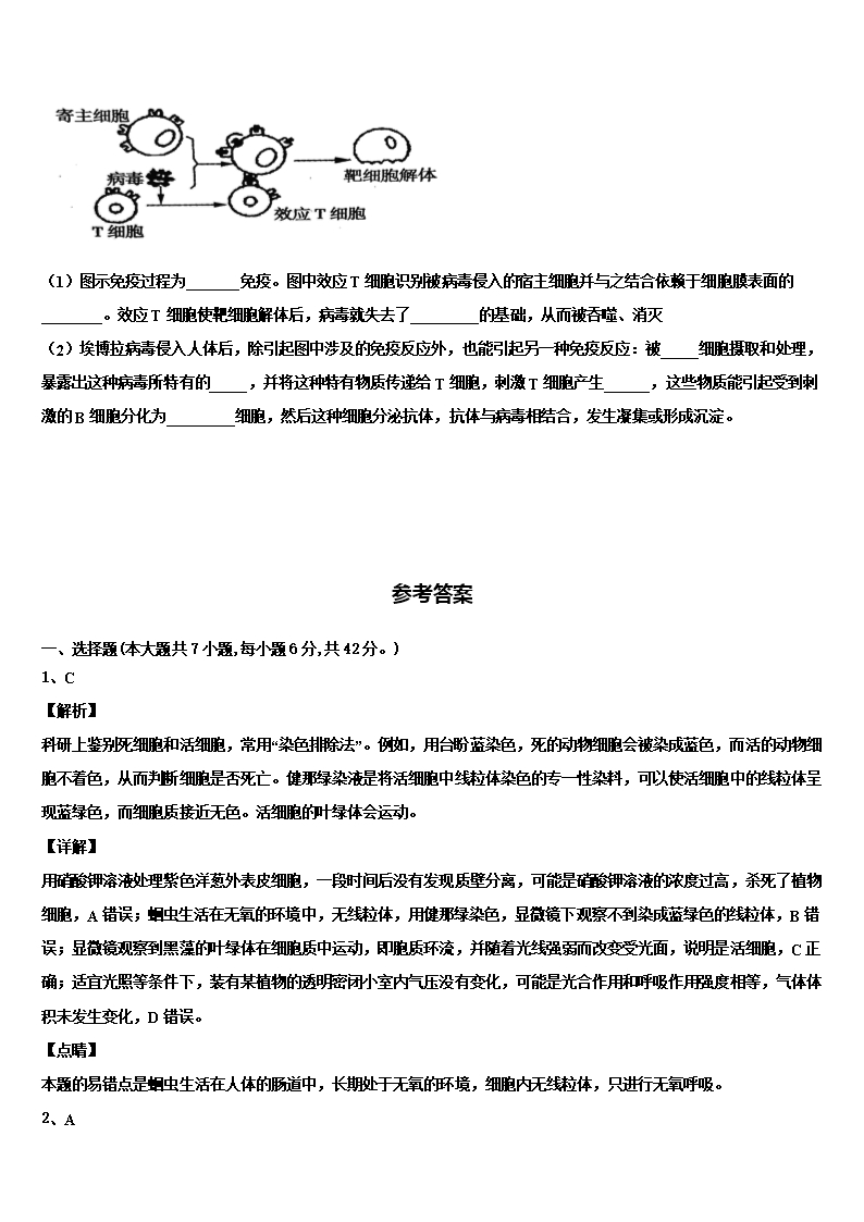 2022年山东省济南市济钢高级中学高三六校第一次联考生物试卷含解析Word模板_05