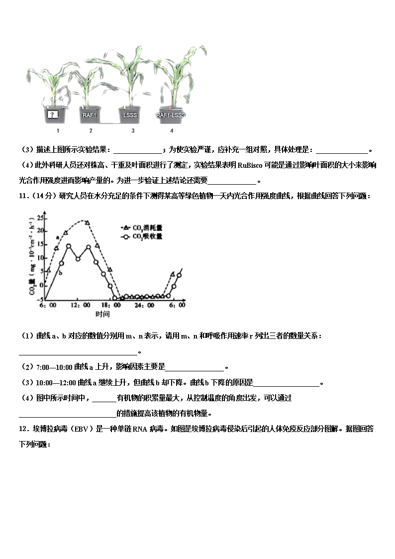 2022年山东省济南市济钢高级中学高三六校第一次联考生物试卷含解析Word模板_04