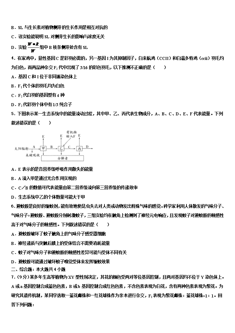 2022年山东枣庄市高三第六次模拟考试生物试卷含解析Word模板_02