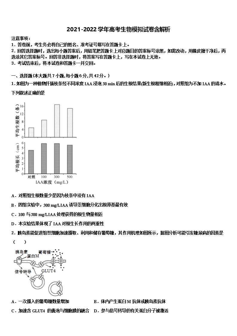 2022年山東省東營市勝利第二中學(xué)高三考前熱身生物試卷含解析Word模板