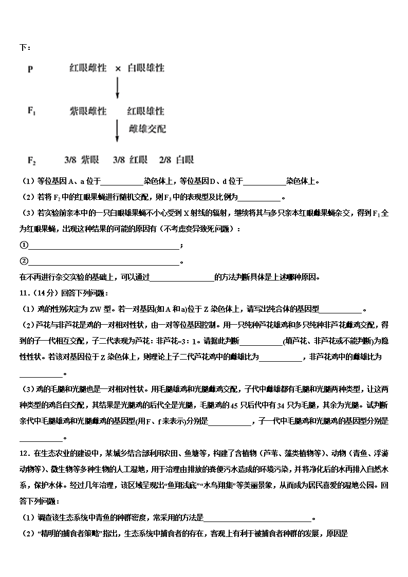 2022年上海市徐汇区上海第四中学高考生物四模试卷含解析Word模板_03