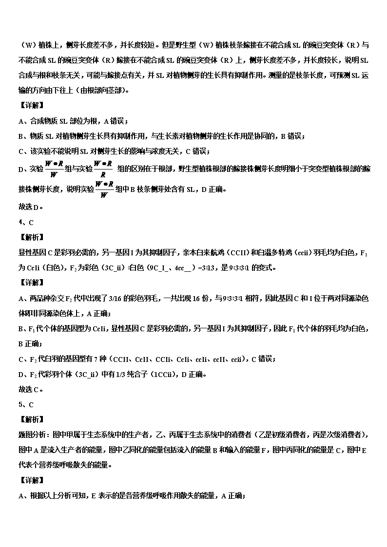 2022年山东枣庄市高三第六次模拟考试生物试卷含解析Word模板_06