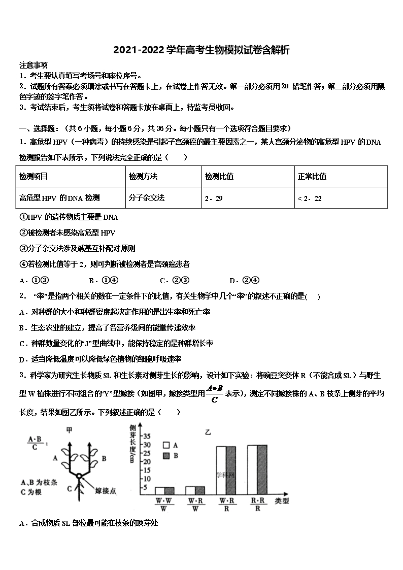 2022年山東棗莊市高三第六次模擬考試生物試卷含解析Word模板