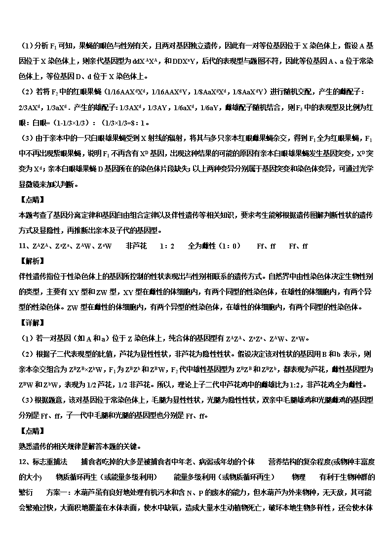 2022年上海市徐汇区上海第四中学高考生物四模试卷含解析Word模板_09