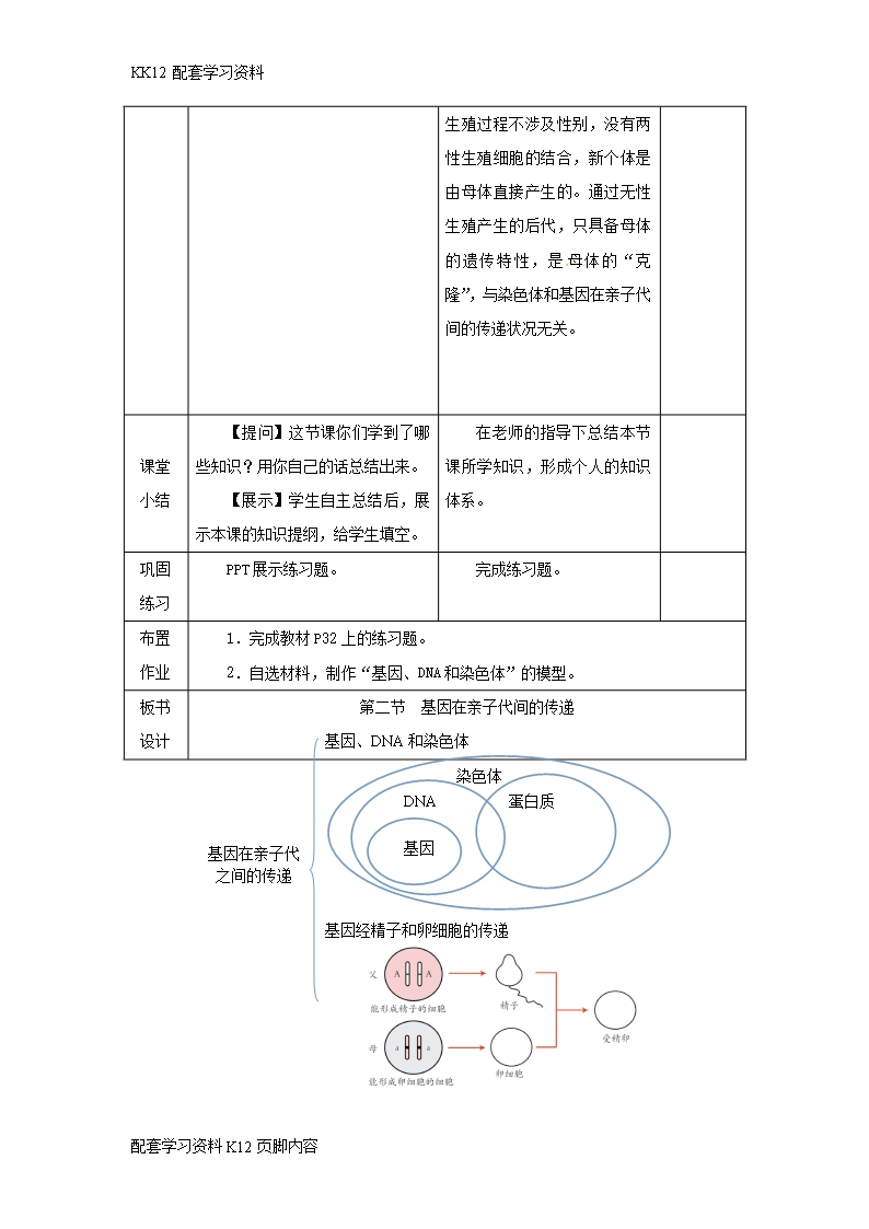 [K12配套]吉林省榆树市八年级生物下册第七单元第二章第二节基因在亲子代间的传递教案新版新人教版Word模板_07