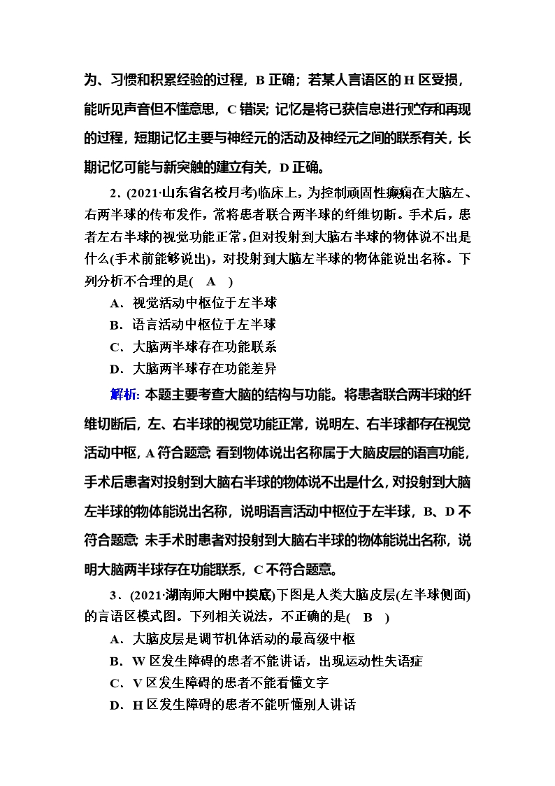 2022届高考一轮复习人教版神经系统的分级调节和人脑的高级功能教案Word模板_03