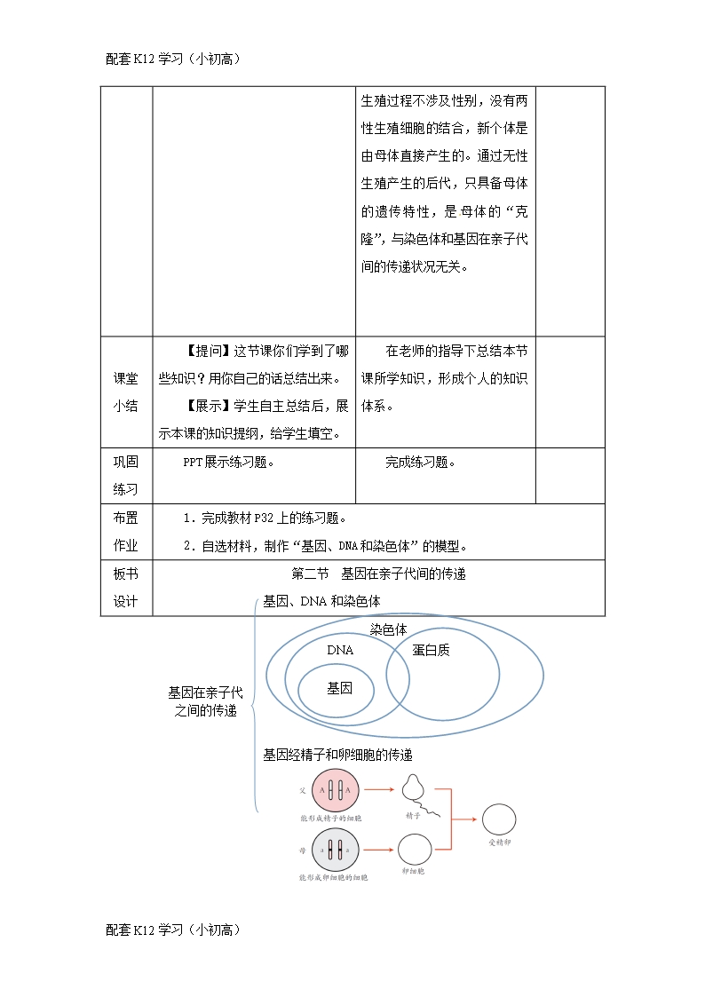 [配套k12学习]吉林省榆树市八年级生物下册第七单元第二章第二节基因在亲子代间的传递教案新版新人教版Word模板_07