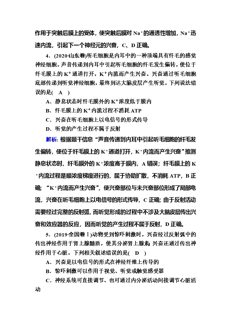 2022届高考一轮复习人教版神经系统的分级调节和人脑的高级功能教案Word模板_07