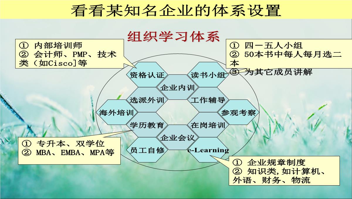 企业培训规划PPT模板_16