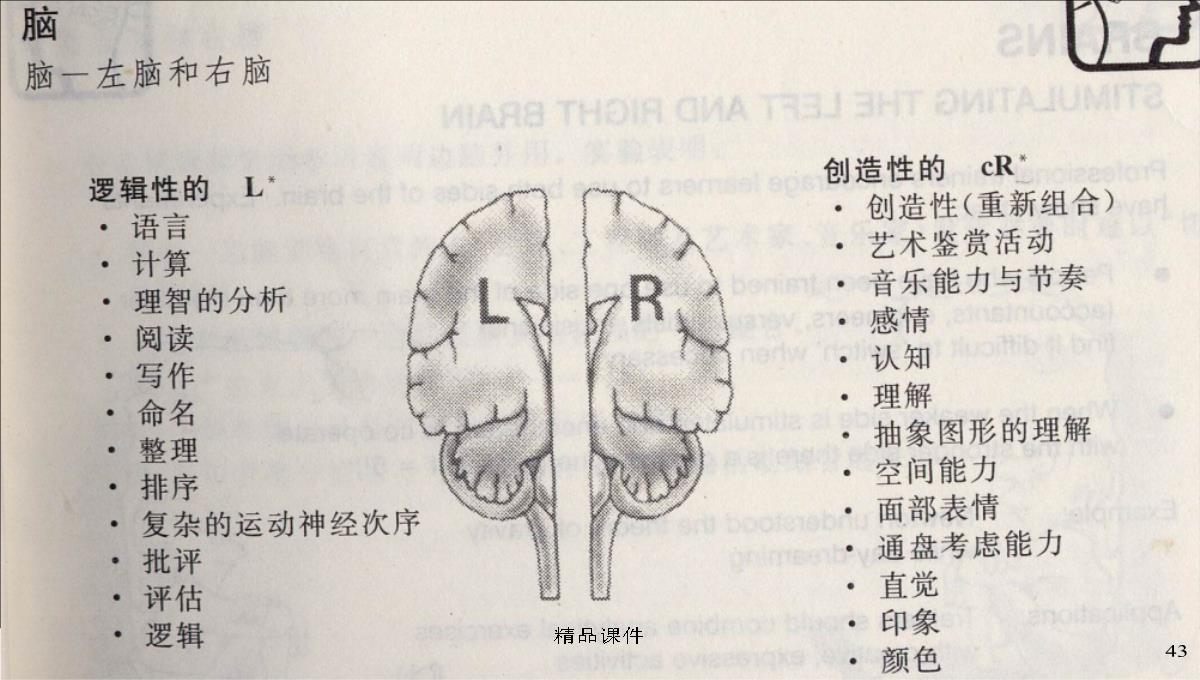 企业内部培训师培训PPT模板_43