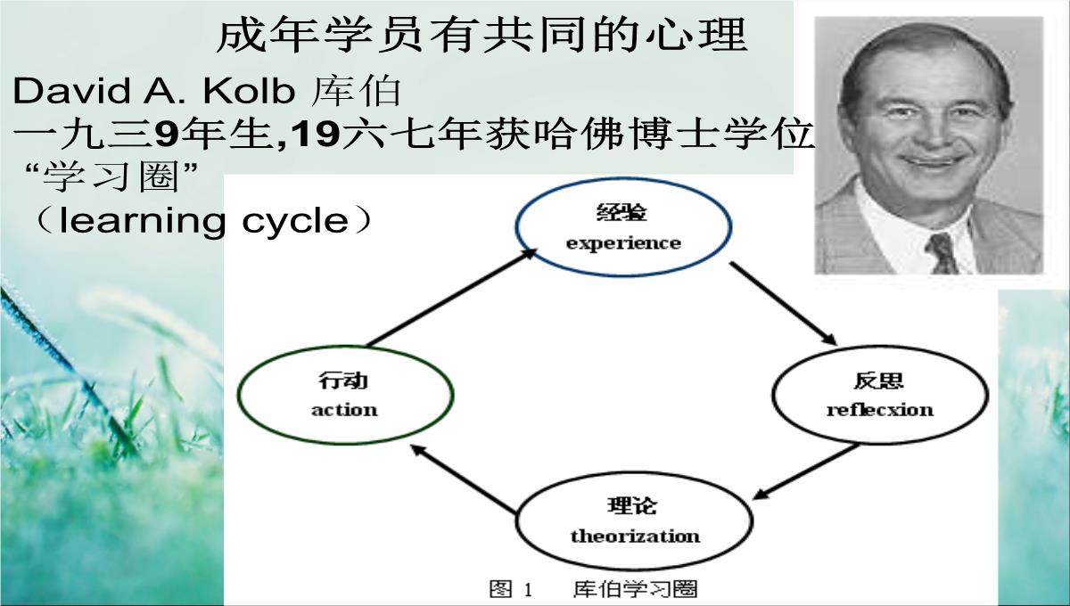 企业培训规划PPT模板_28