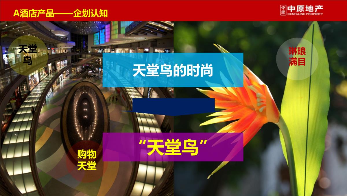 上海-徐行佳兆业城市广场商业综合体营销策划推广提报终稿PPT模板_68