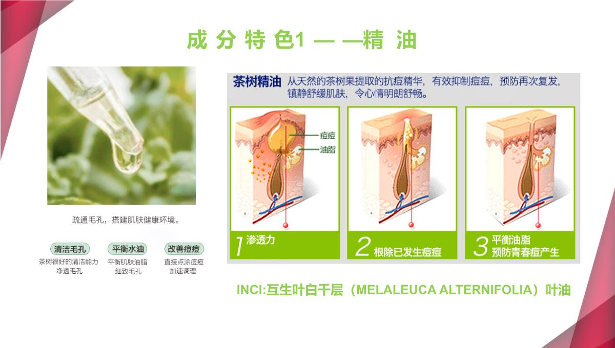 【课件】植物祛痘产品发布PPT模板_20