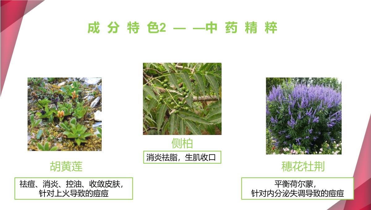 【课件】植物祛痘产品发布PPT模板_21