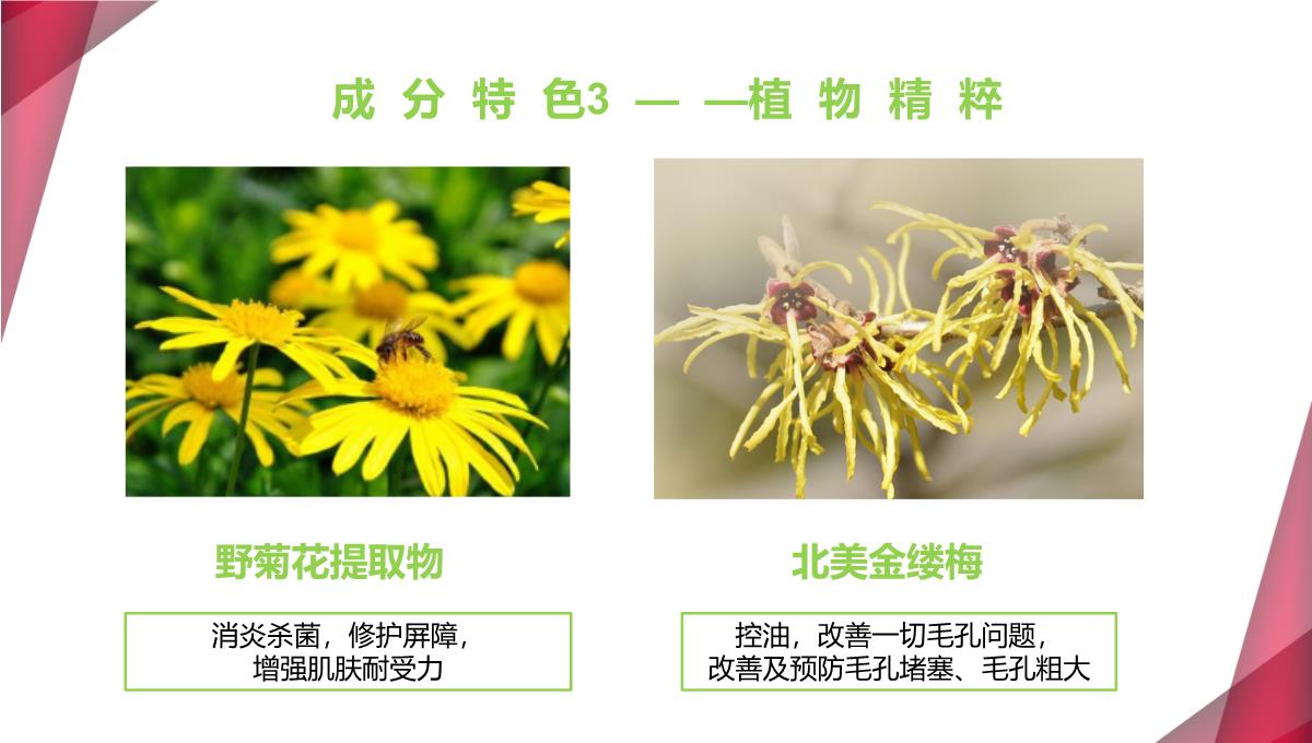 【课件】植物祛痘产品发布PPT模板_22