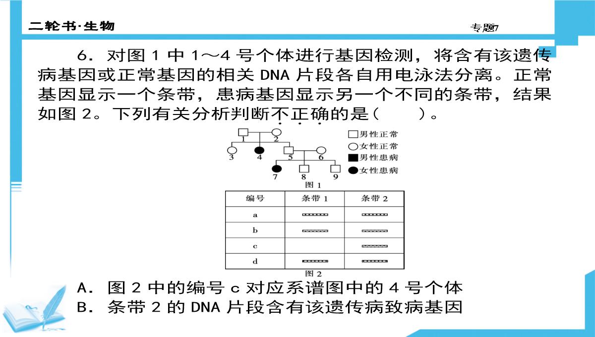 高考生物二轮复习课件：7-生物图形、图表信息题(共计88张PPT)PPT模板_61