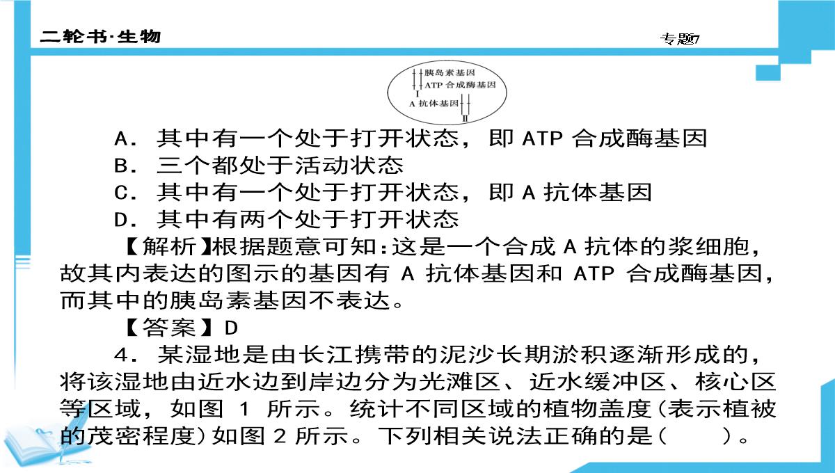 高考生物二轮复习课件：7-生物图形、图表信息题(共计88张PPT)PPT模板_74