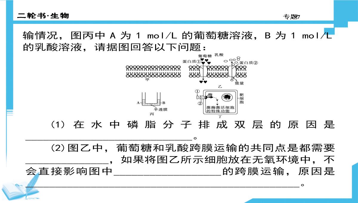 高考生物二轮复习课件：7-生物图形、图表信息题(共计88张PPT)PPT模板_14