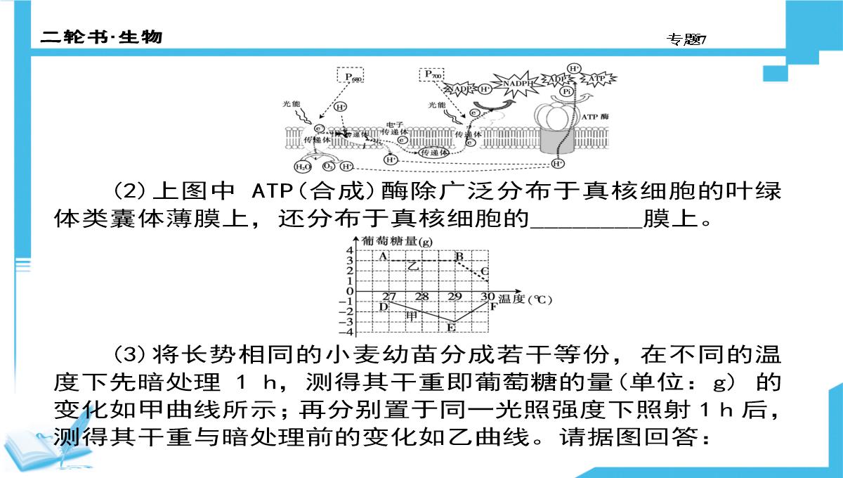 高考生物二轮复习课件：7-生物图形、图表信息题(共计88张PPT)PPT模板_32