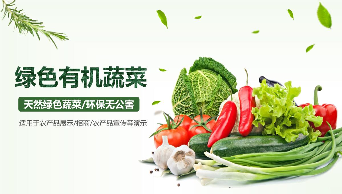 绿色有机蔬菜产品PPT模板_34
