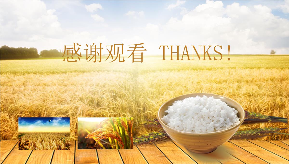 农业水稻种植PPT模板_27