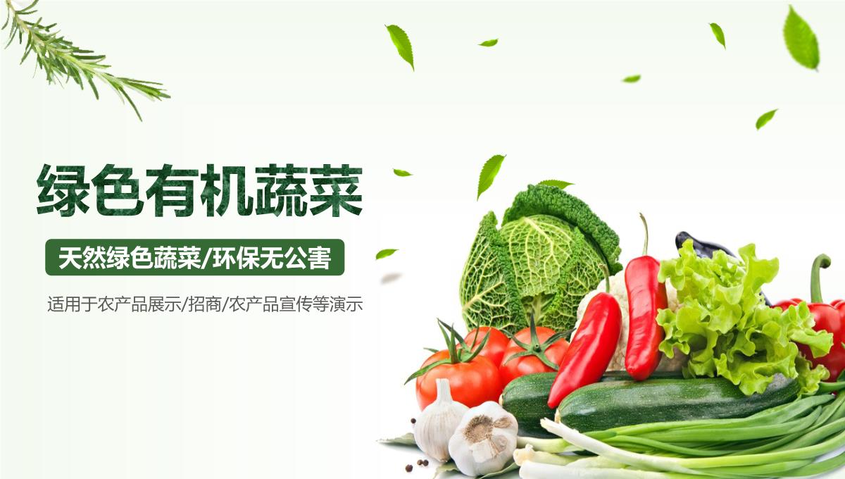 绿色有机蔬菜产品PPT模板