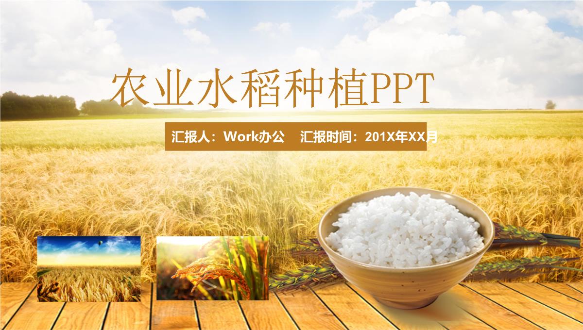 农业水稻种植PPT模板