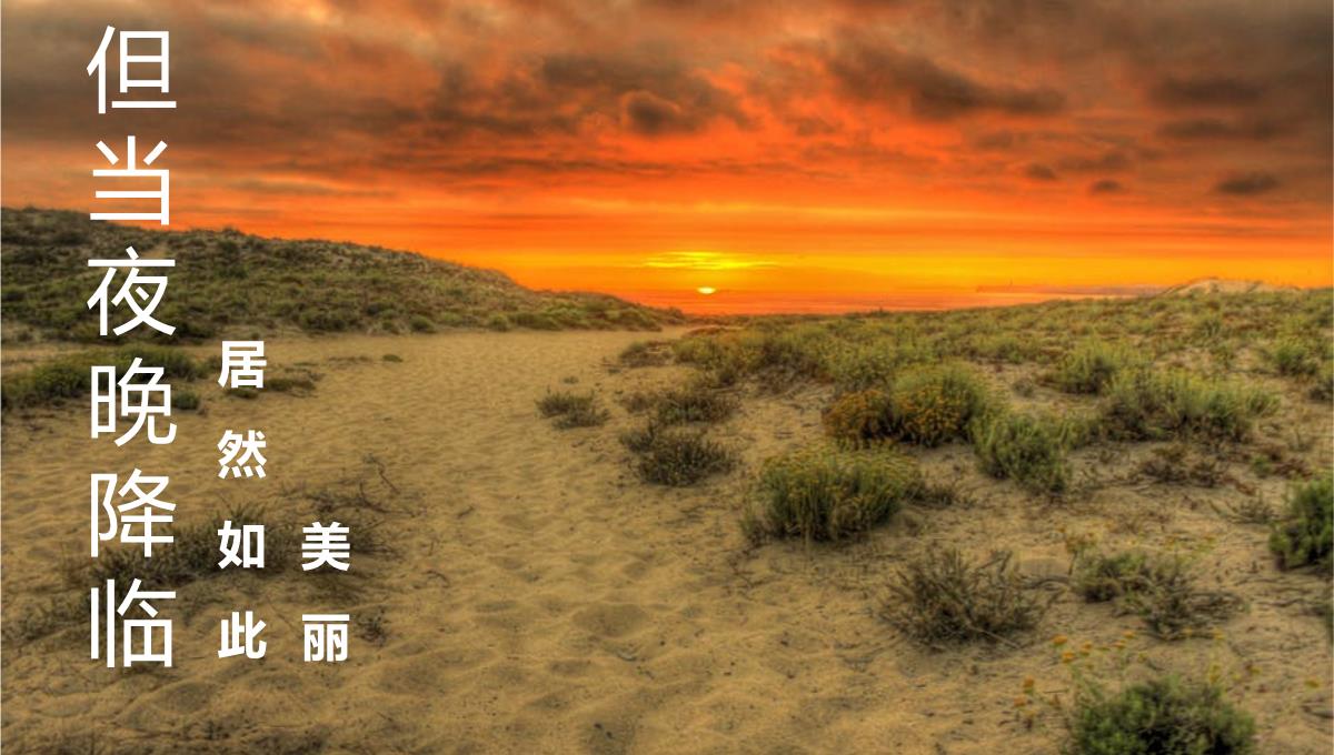 白色简约风敬畏自然公司团建沙漠之旅纪念册PPT模板_08