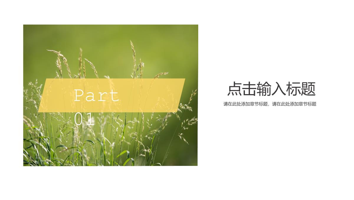 黄色小清新简约风旅游风景展示旅行纪念册PPT模板_03