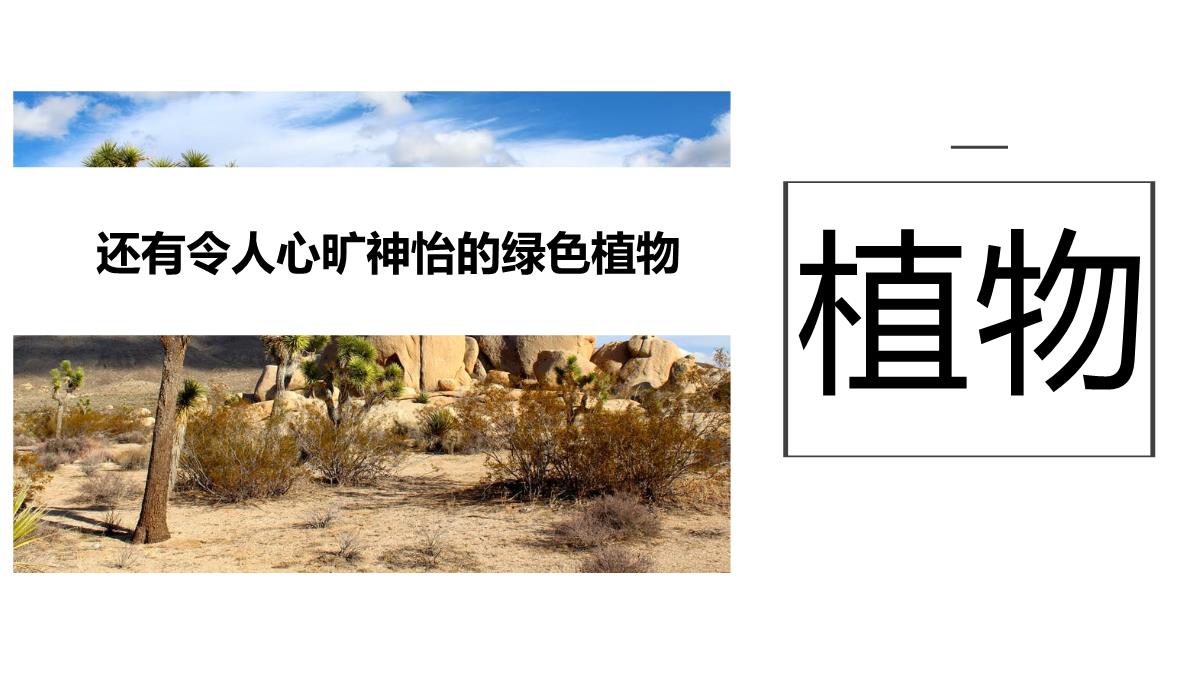 白色简约风敬畏自然公司团建沙漠之旅纪念册PPT模板_14