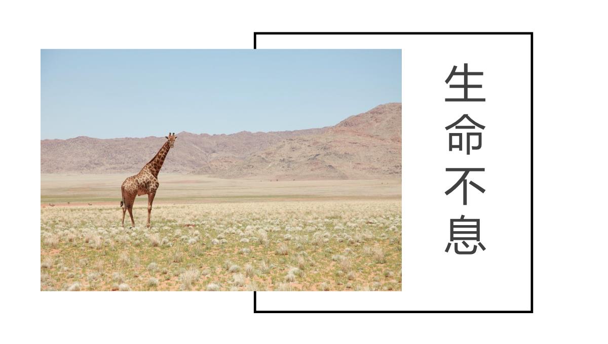 白色简约风敬畏自然公司团建沙漠之旅纪念册PPT模板_19