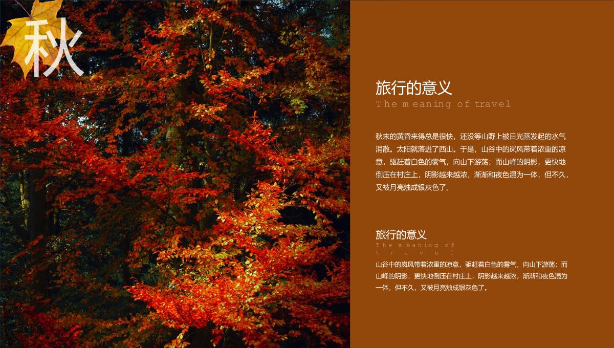 褐色简约杂志风秋季旅行纪念册个人写真集PPT模板_08
