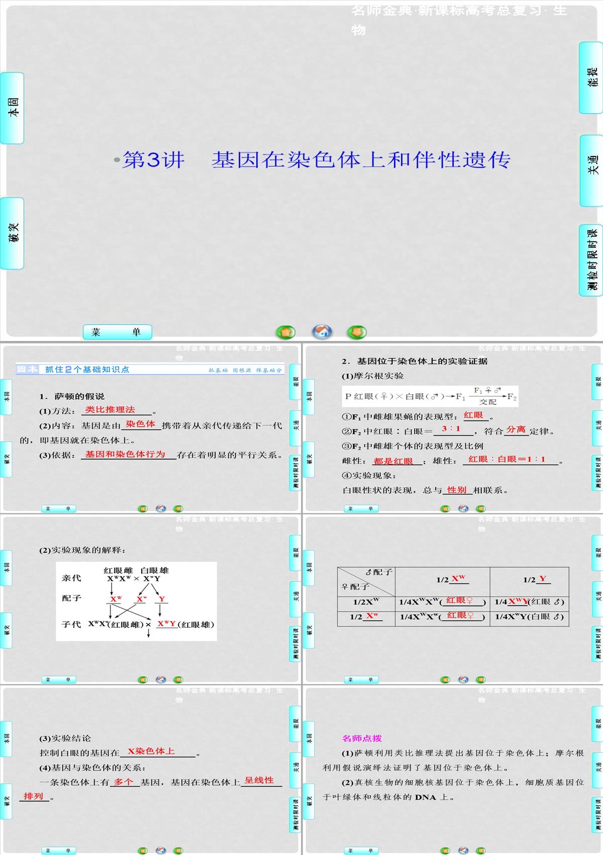 高考生物總復習-第1單元-第3講-基因在染色體上和伴性遺傳課件-新人教版必修2PPT模板