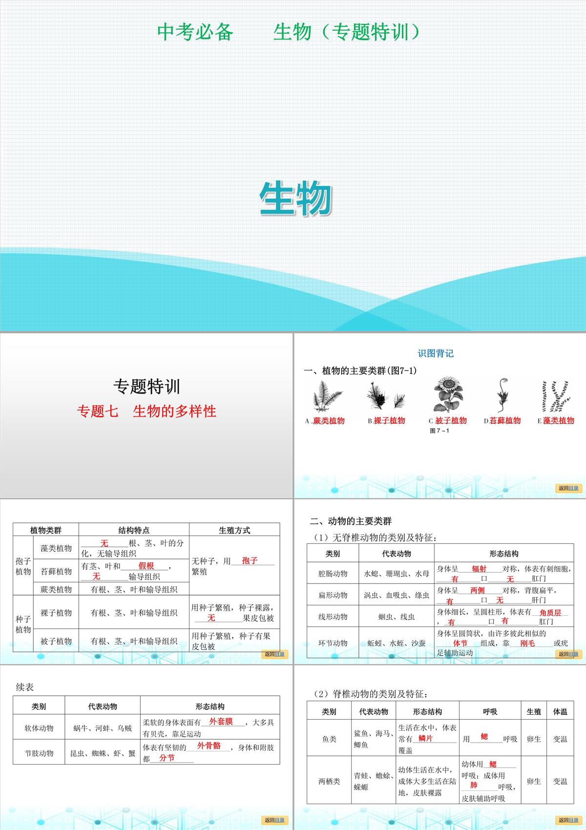 2022年人教版中考生物復習專題七--生物的多樣性PPT模板