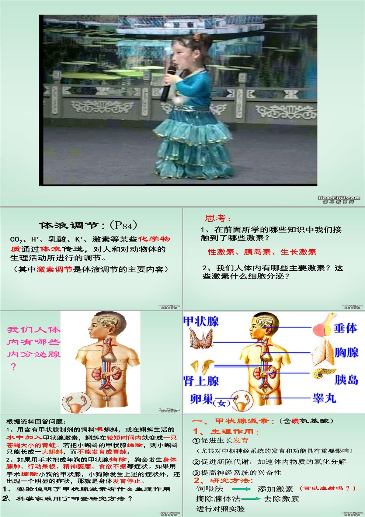 浙江省富陽市教研活動課高二生物動物激素的調節課件-新課標-人教版PPT模板