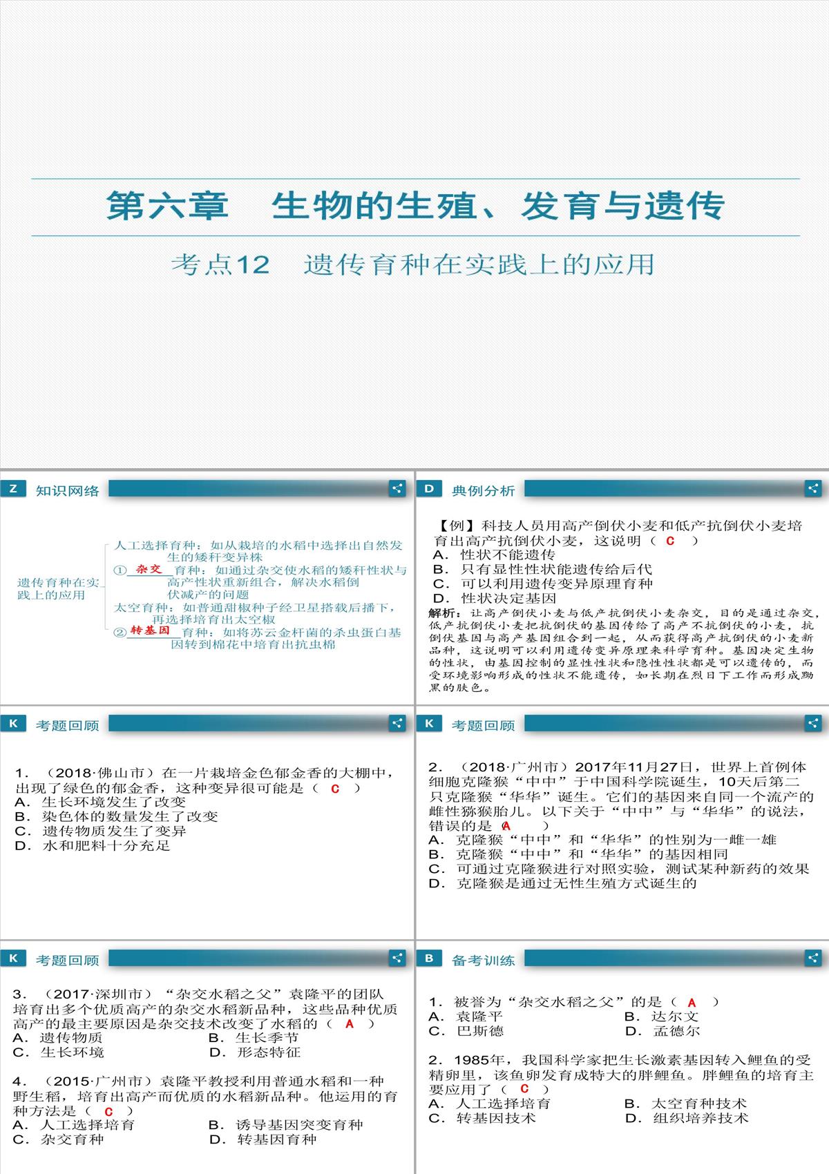 廣東中考生物一輪復習課件：第六章-考點12-遺傳育種在實踐上的應用PPT模板