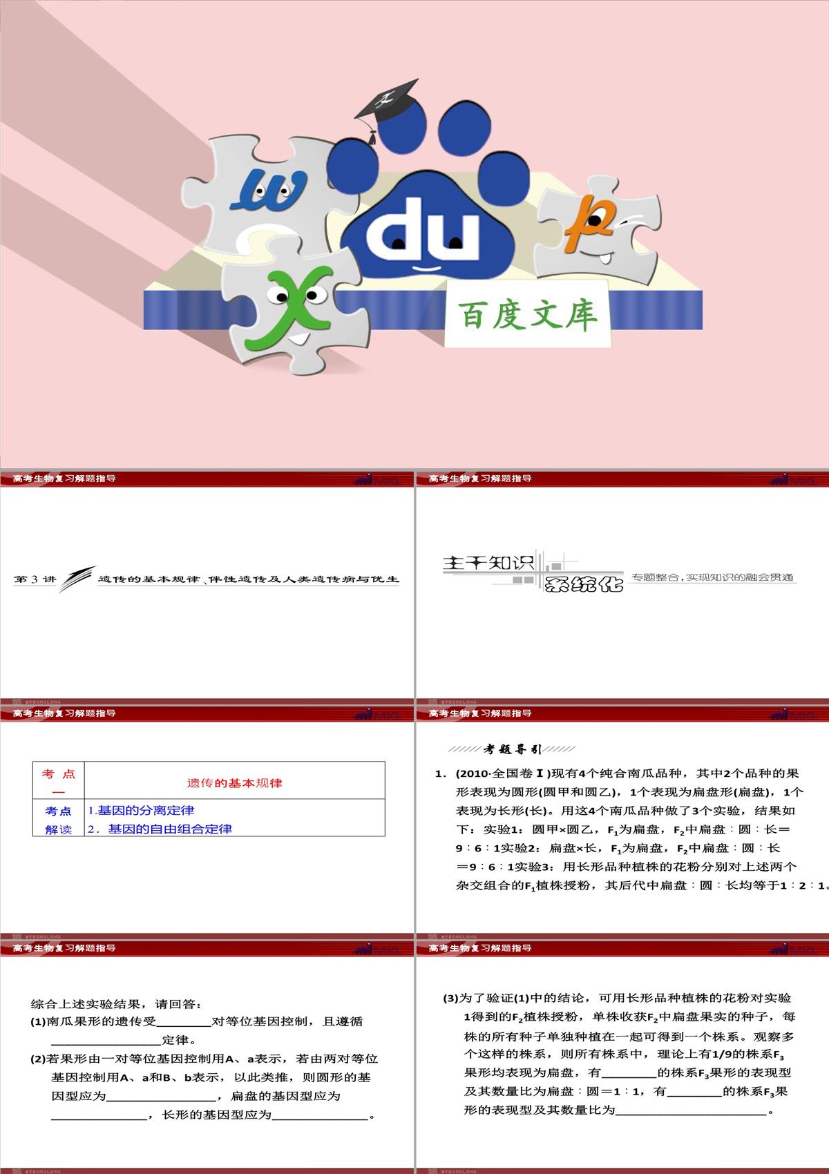 高考專題復習專題4---第3講--遺傳的基因規律、伴性遺傳及人類遺傳病與優生PPT模板