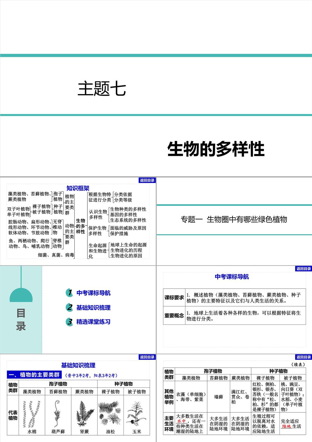 2022年中考生物總復習主題七生物的多樣性-專題一生物圈中有哪些綠色植物PPT模板