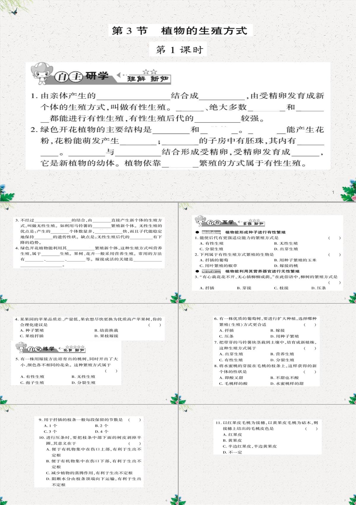 八年級(jí)生物上冊(cè)第六單元第19章第3節(jié)植物的生殖方式習(xí)題課件新版北師大版PPT模板